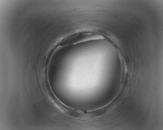 X0000080800485200612221558