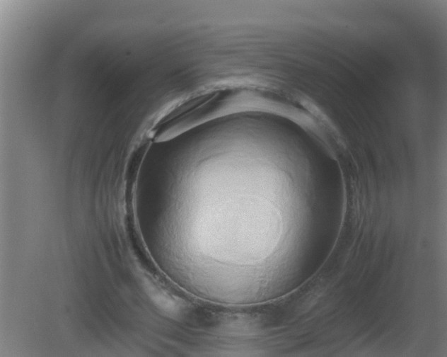 X0000080800486200612221558