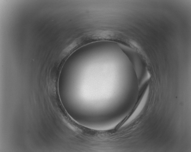 X0000080800489200612221558