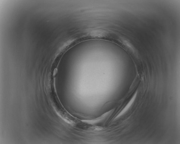 X0000080800492200612221558