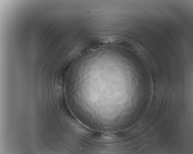X0000080800510200612221558