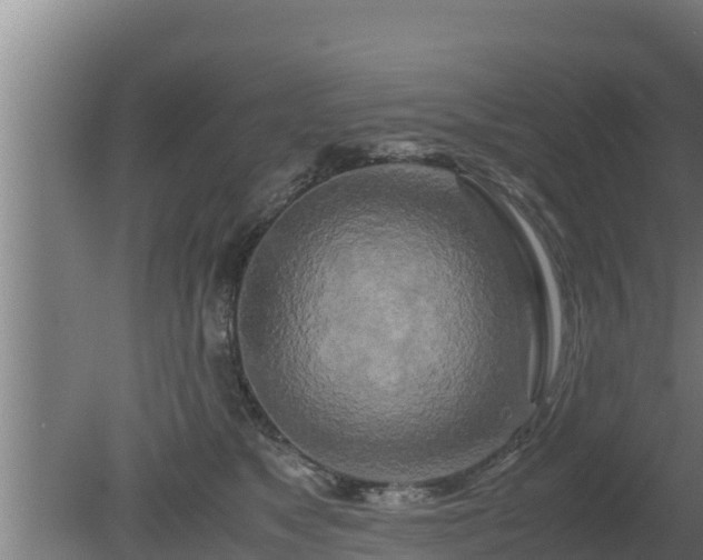 X0000080800517200612221558