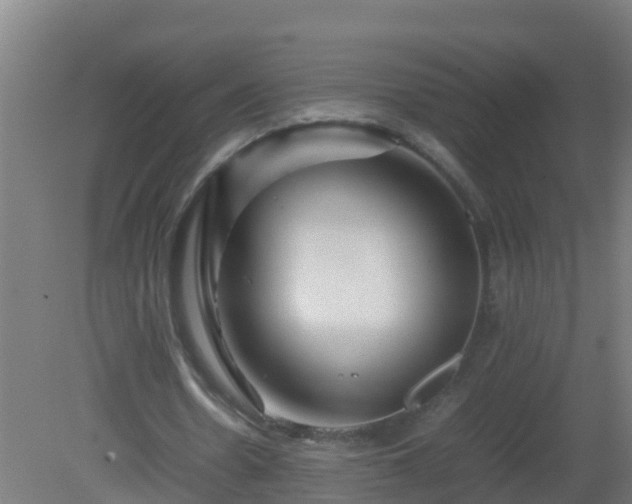 X0000080800530200612221557