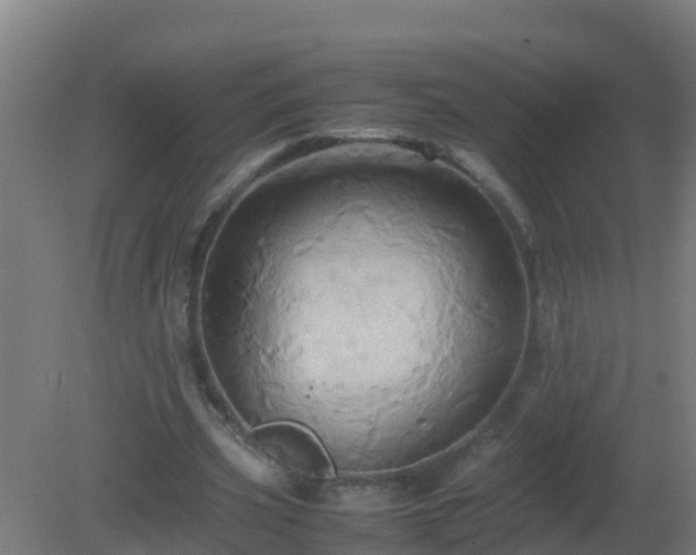 X0000080800533200612221557