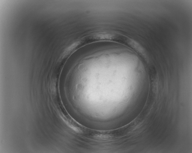 X0000080800537200612221557