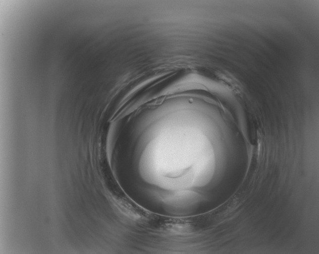 X0000080800552200612221557