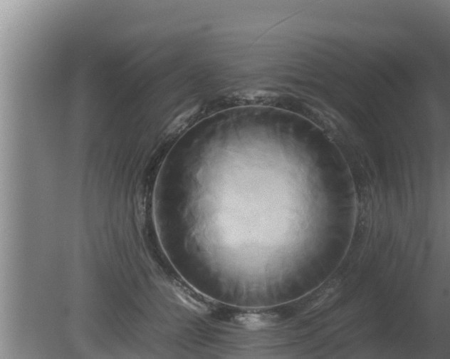 X0000080800558200612221557