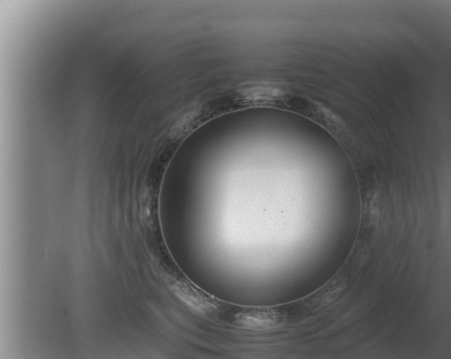 X0000080800567200612221558