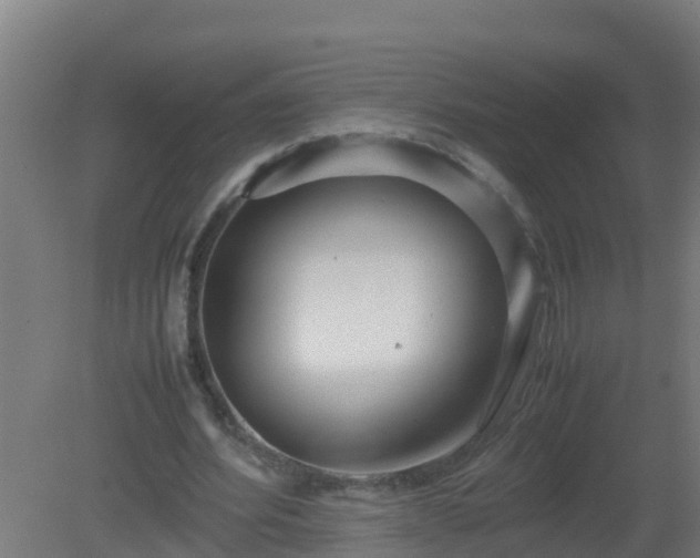 X0000080800580200612221557