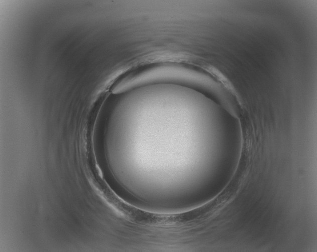 X0000080800581200612221557