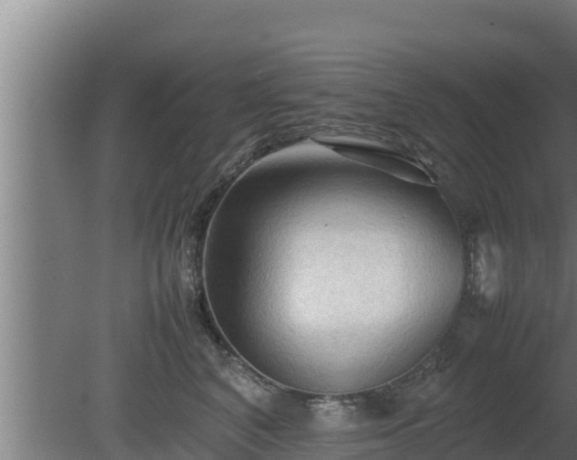 X0000080800616200612221556