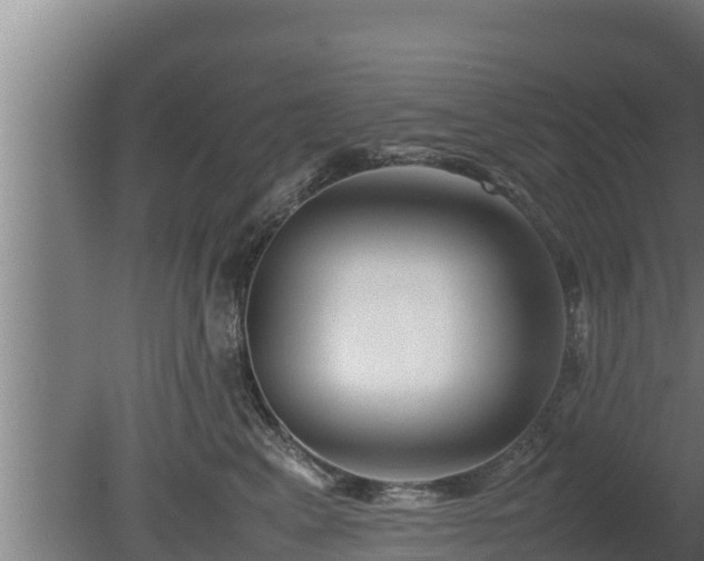X0000080800617200612221556
