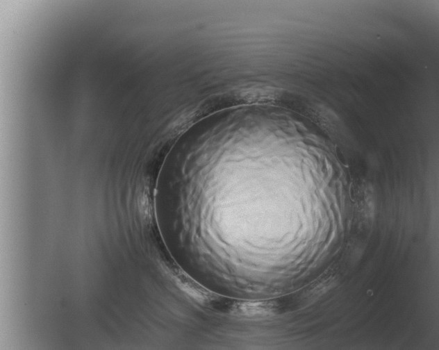 X0000080800622200612221556
