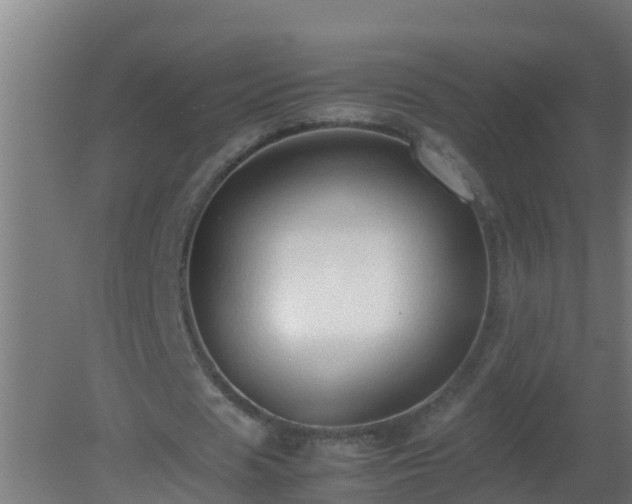 X0000080800625200612221555