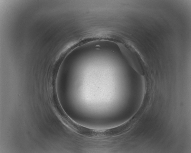 X0000080800677200612221555