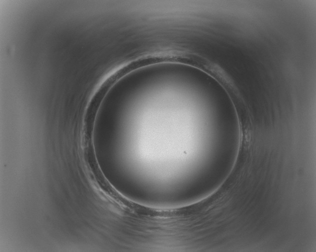 X0000080800724200612221554