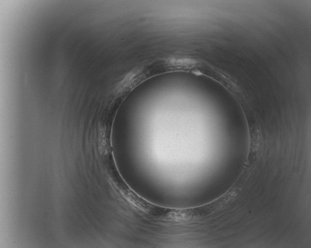 X0000080800764200612221554
