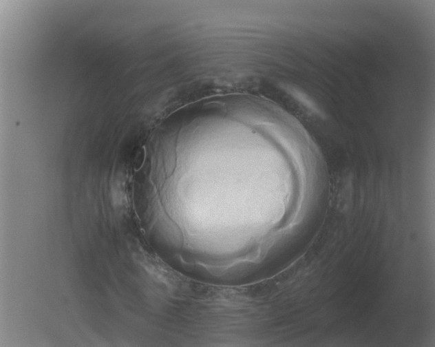 X0000080800770200612221554