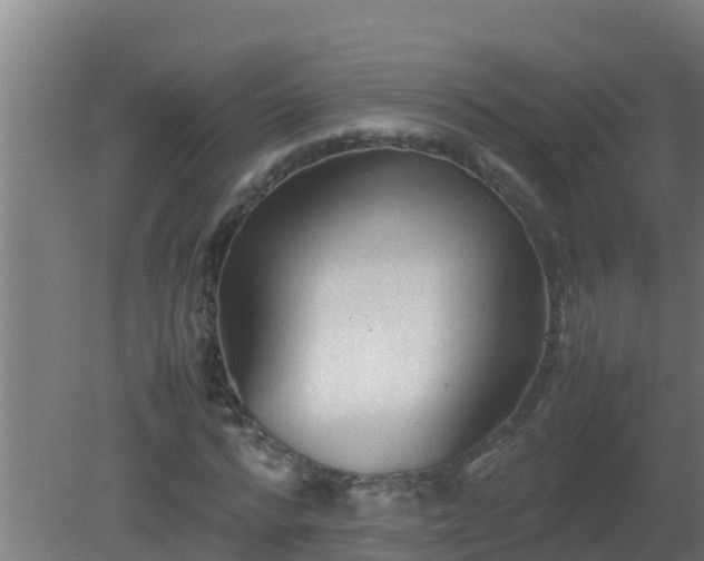 X0000080800776200612221554