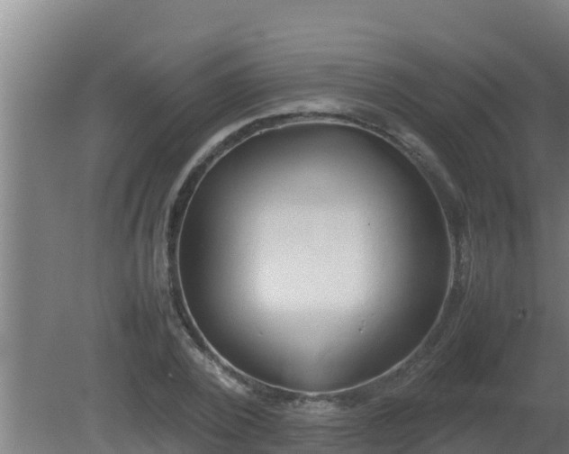 X0000080800784200612221553