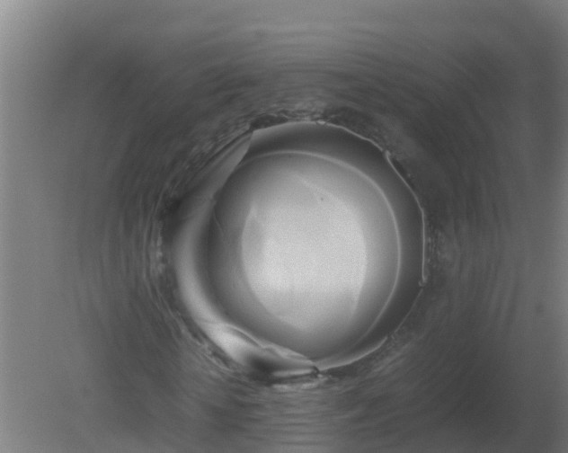 X0000080800818200612221552