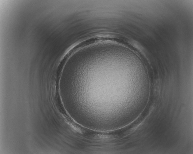 X0000080800829200612221552