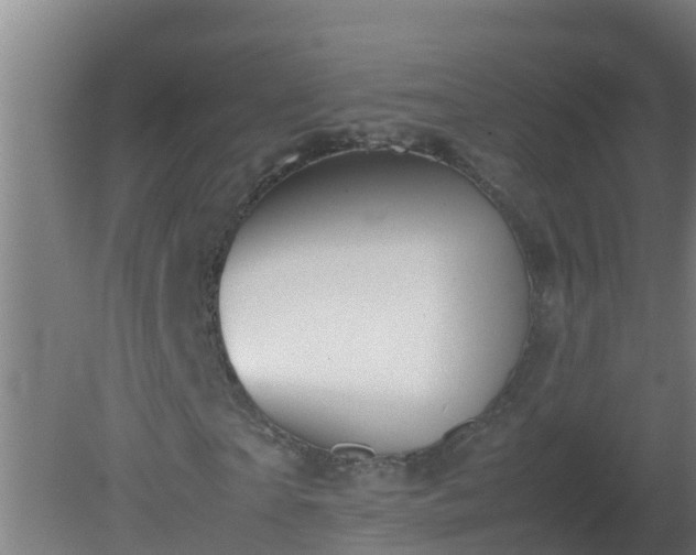 X0000080800865200612221552