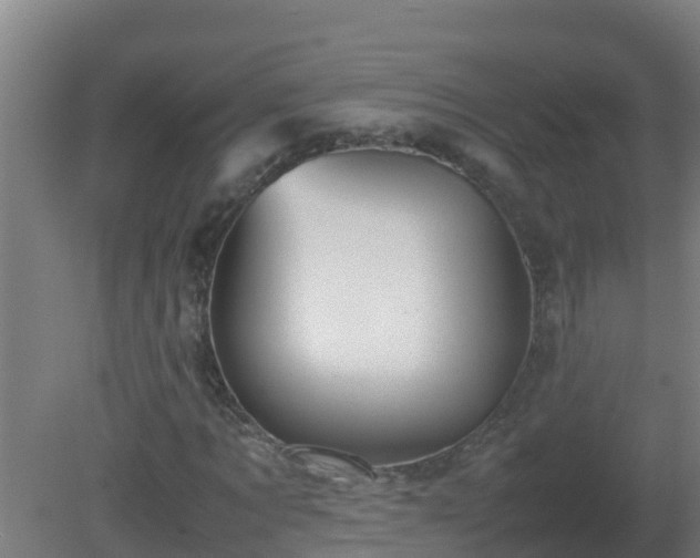 X0000080800869200612221552