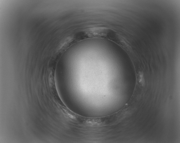 X0000080800915200612221551