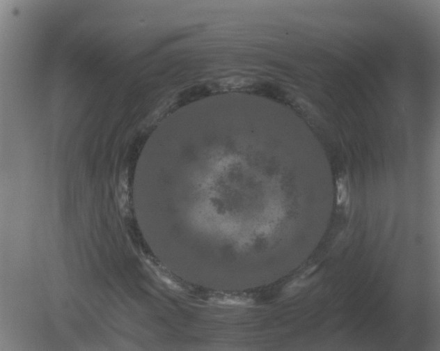 X0000080801011200612221549