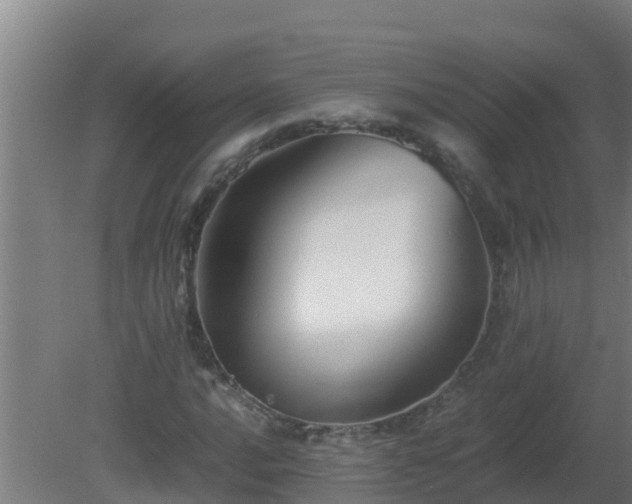 X0000080801016200612221549