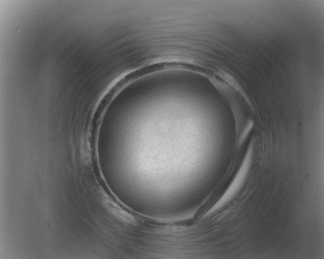 X0000080801068200612221549