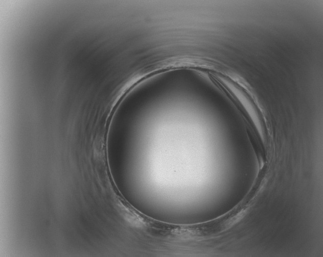 X0000080801089200612221548
