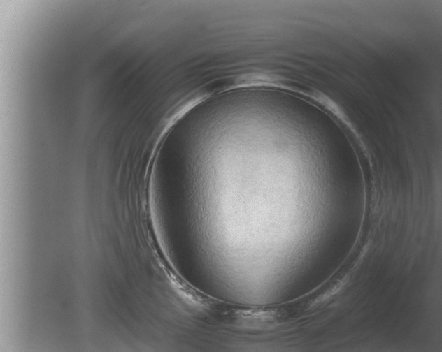 X0000080801145200612221548