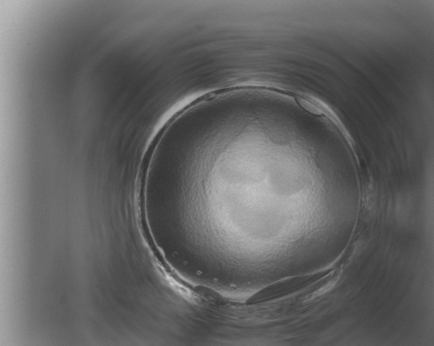X0000080801149200612221548