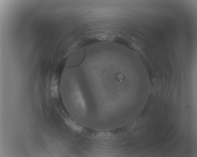 X0000080801154200612221547