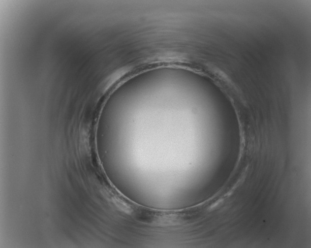 X0000080801162200612221547