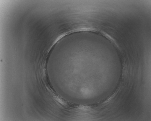 X0000080801170200612221547