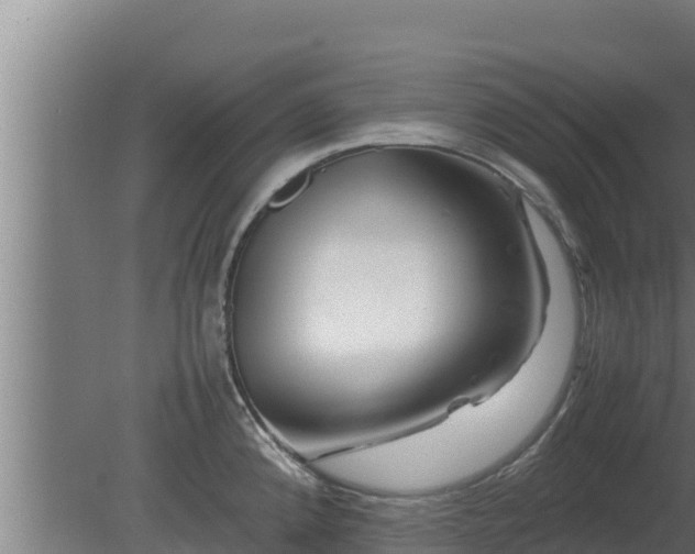 X0000080801192200612221547