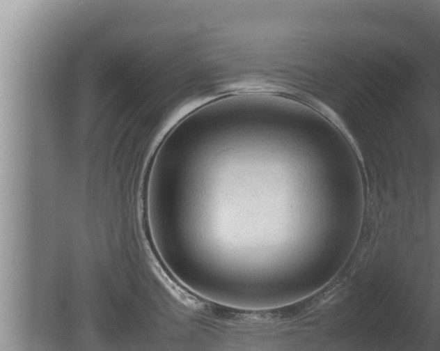 X0000080801195200612221547