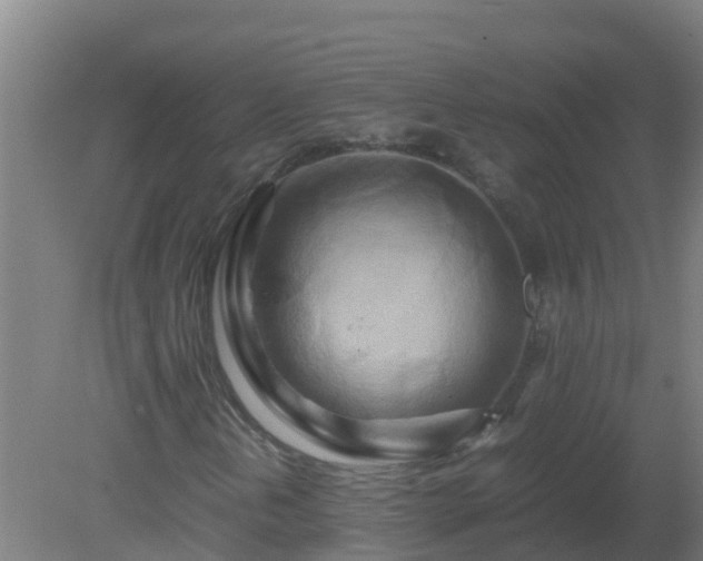 X0000080801202200612221546