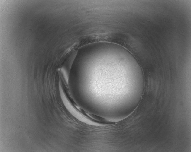 X0000080801250200612221546