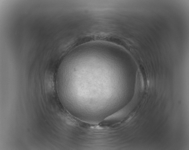 X0000080801252200612221546