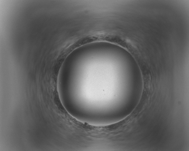 X0000080801253200612221546