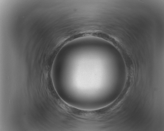 X0000080801257200612221545