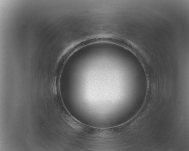 X0000080801262200612221545