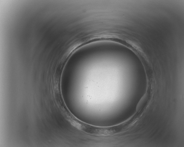 X0000080801273200612221545