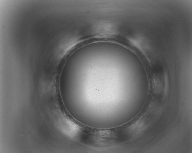X0000080801304200612221544