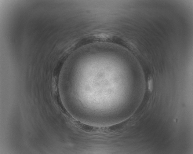 X0000080801347200612221544