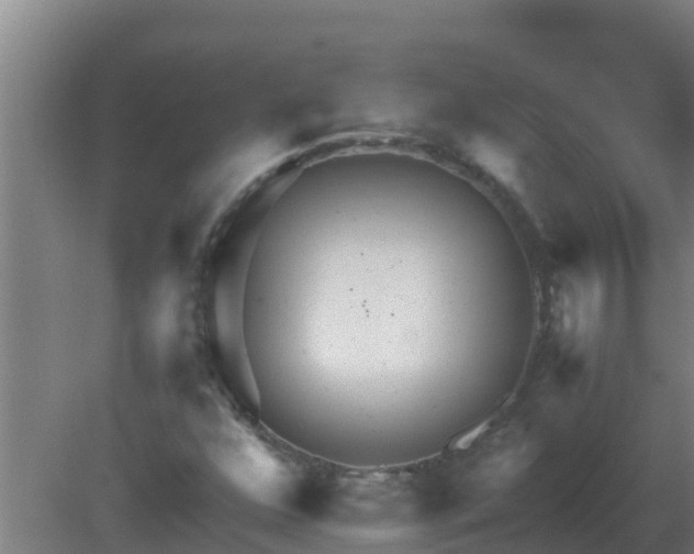 X0000080801352200612221544